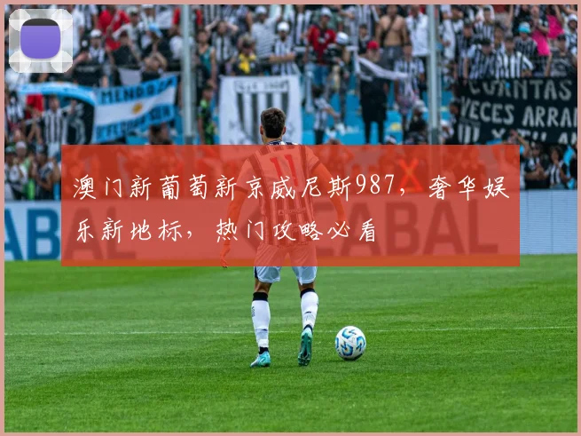 澳门新葡萄新京威尼斯987，奢华娱乐新地标，热门攻略必看
