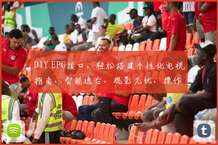 DIY EPG接口，轻松搭建个性化电视指南，智能选台，观影无忧，操作简便，体验升级，三步搞定