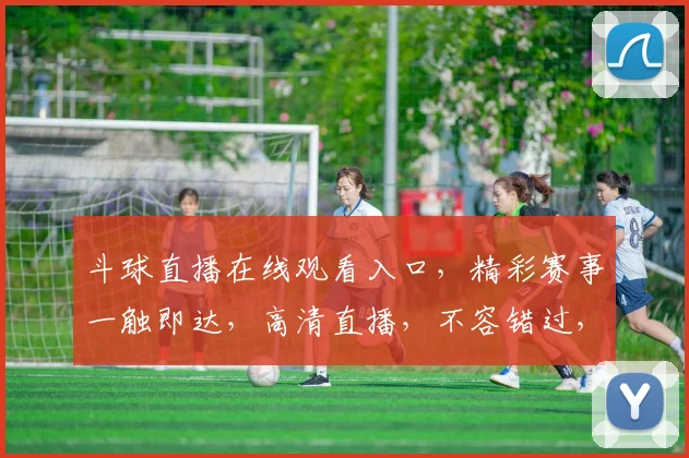 斗球直播在线观看入口，精彩赛事一触即达，高清直播，不容错过，实时互动，尽在指尖