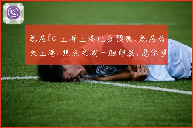 悉尼fc 上海上港比分预测,悉尼对决上港,焦点之战一触即发,悬念重重