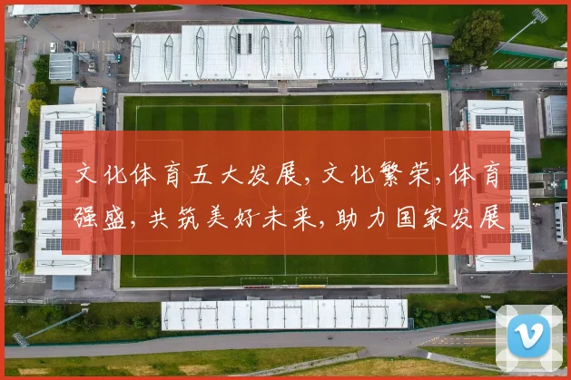 文化体育五大发展,文化繁荣,体育强盛,共筑美好未来,助力国家发展,促进全民健康