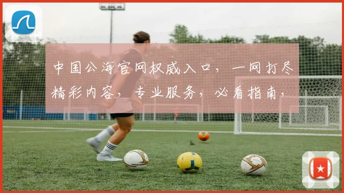 中国公海官网权威入口，一网打尽精彩内容，专业服务，必看指南，轻松访问三步走