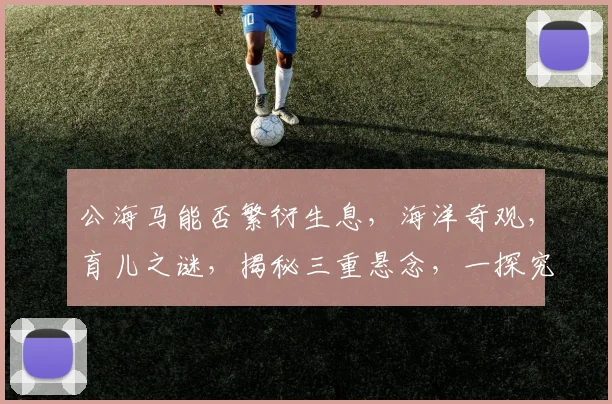 公海马能否繁衍生息，海洋奇观，育儿之谜，揭秘三重悬念，一探究竟
