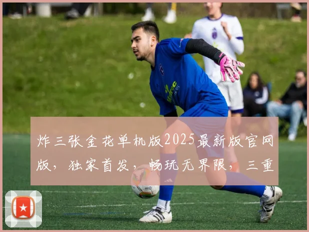 炸三张金花单机版2025最新版官网版，独家首发，畅玩无界限，三重惊喜等你来