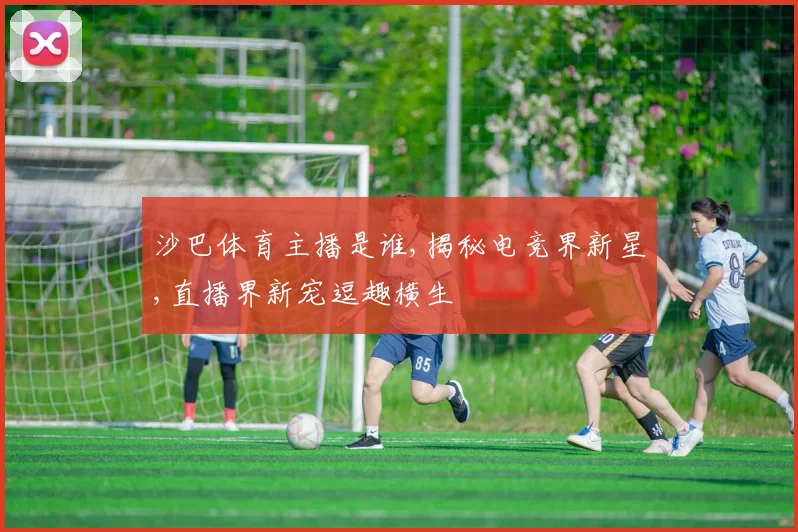 沙巴体育主播是谁,揭秘电竞界新星,直播界新宠逗趣横生