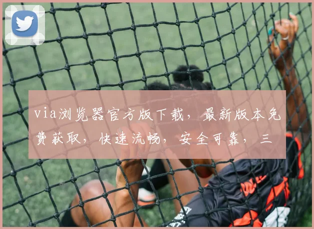 via浏览器官方版下载，最新版本免费获取，快速流畅，安全可靠，三重保障，不容错过，立即下载